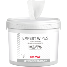 Salviette Detergenti Expert Wipes GOLMAR
